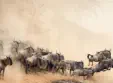 Wildebeest crossing the Mara River during the migration 